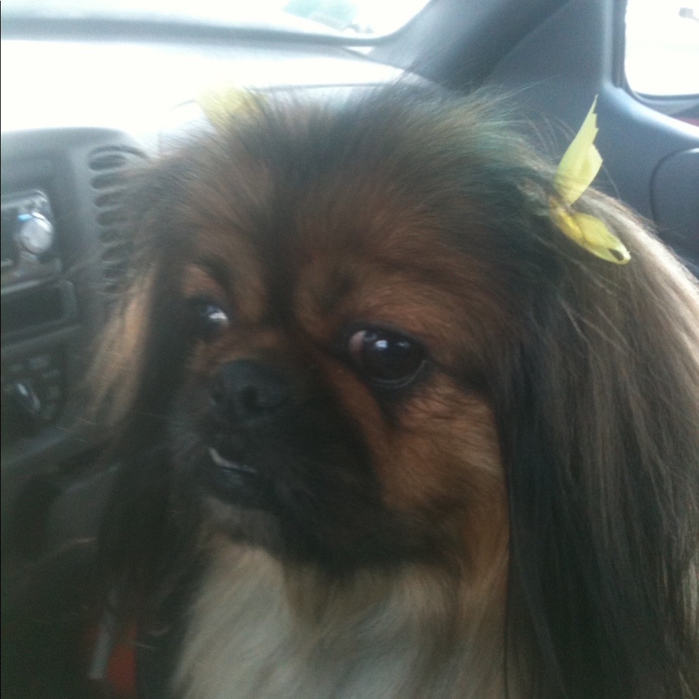 My Coco